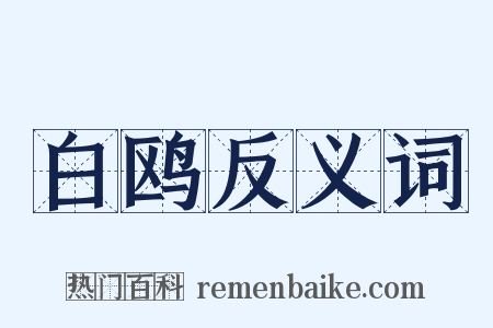 白鸥反义词是什么意思的图片